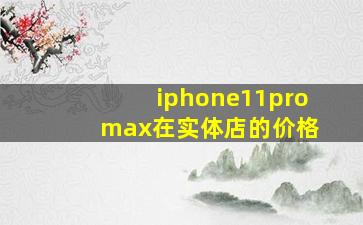 iphone11pro max在实体店的价格